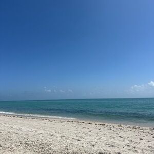 Meet your Posher, Izzy